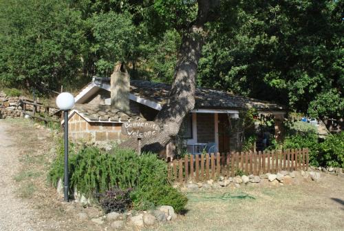 Azienda Agricola Biologica La Cardellina
