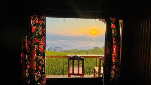 Bình Mình Homestay