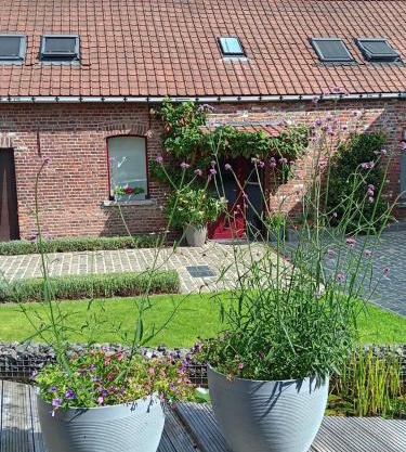 B&B De Pepelinck