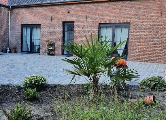 B&B Dekorn