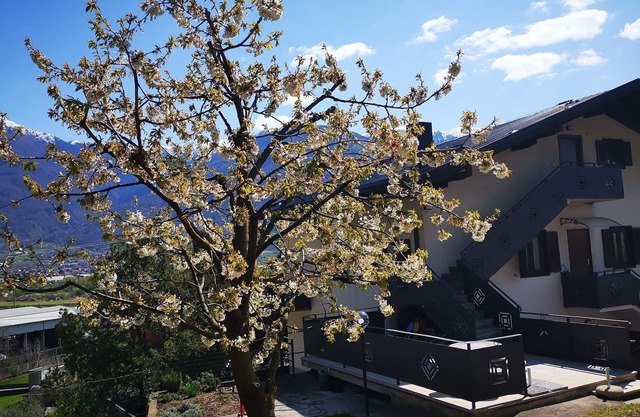 B&B La Mela - Accoglienza Emiliana in Val Camonica