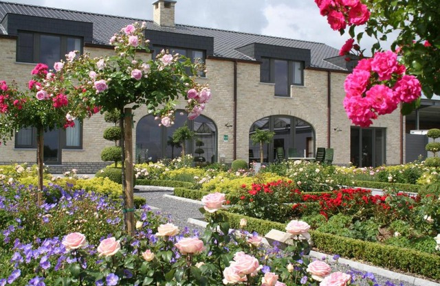 B&B La Vie En Roses