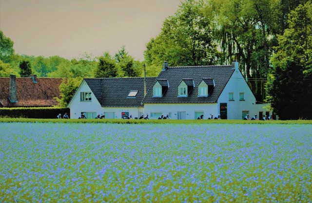 B&B Maison Kerkhove