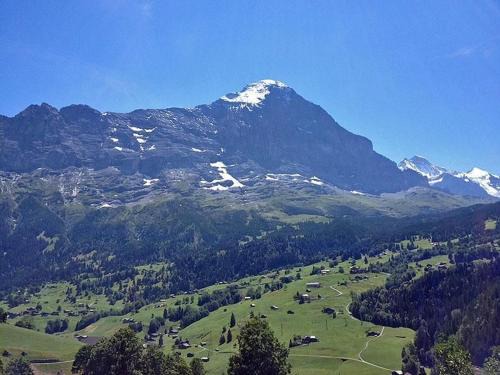 Bachsbort 14 4 Bett Wohnung Parterre, Freie Sicht Auf Eiger