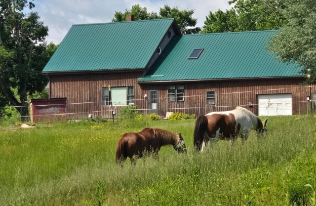Backyard Bliss Near Bangor Concerts, Hiking, Trails. Pasture for Horses!