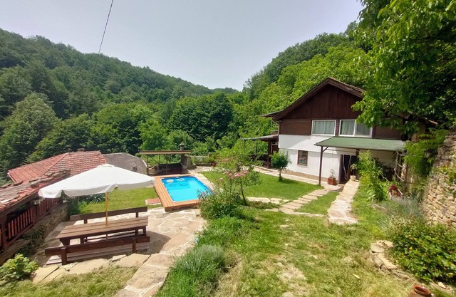 Balkans Serendipity - Artistic forest house