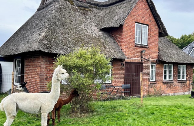 Baltic Sea - Romance. Vacation home/vacation apartment near Scharbeutz and Eutin with alpacas