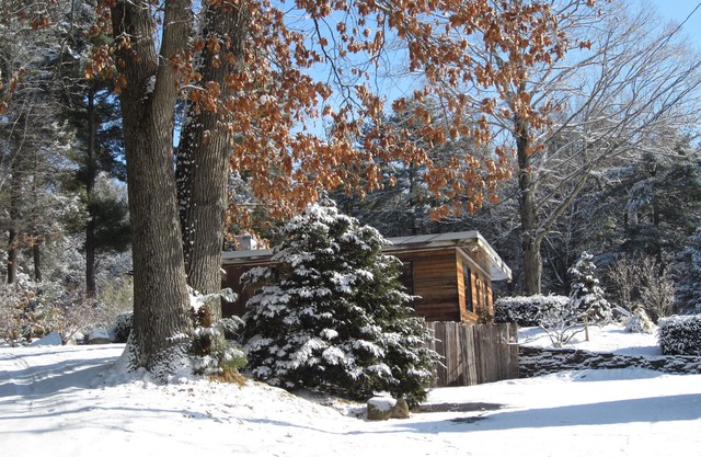 Bamboo: Spacious with Cedar Wet-room, Private Patio