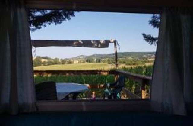 BAMBOUS - Le Clos des Oiseaux