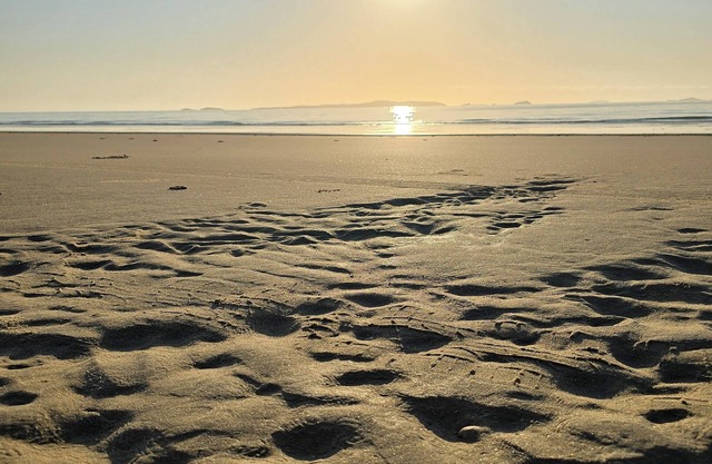 Bangers Beach House, full of experiences on the great barrier reef!