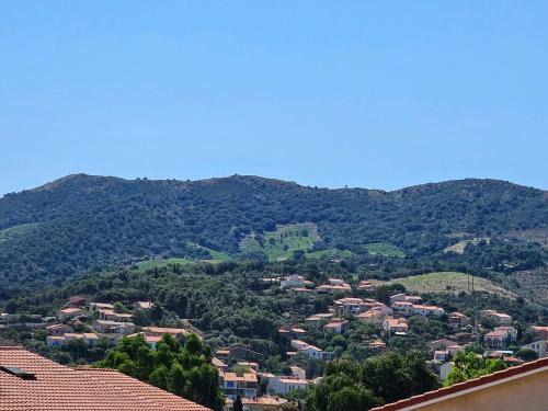 Banyuls-sur-Mer : appart. 6 pers. avec grande terrasse et garage - FR-1-309-527