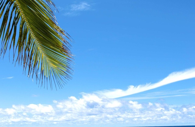 Barbados Beach Club Resort - All Inclusive