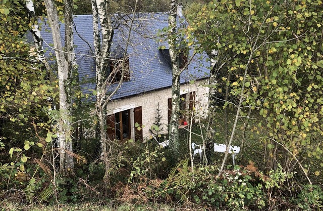 Barn in a green setting