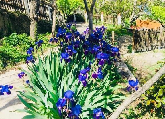 Barranco de la Salud