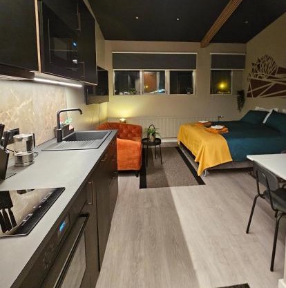 Base apartments ap 209 - Capital region of Reykjavík