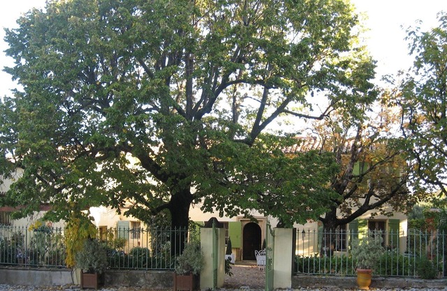 Bastide district, authentic farmhouse and 18th-century furniture