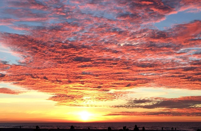 Beach and Garden in Malo les Bains