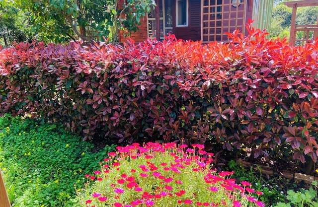 Beach House à Quelques Mètres de la Plage en Corse