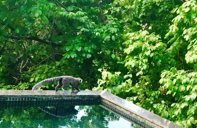 Beach house with hydro pool with spectacular views