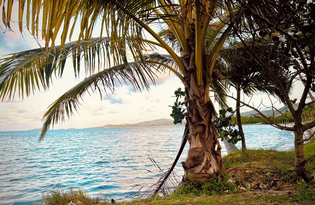 Beach View 2/2 Condo w/Pool and AC