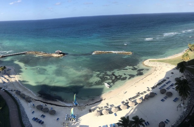 Beachfront 12th Floor Penthouse Living with Resort Access
