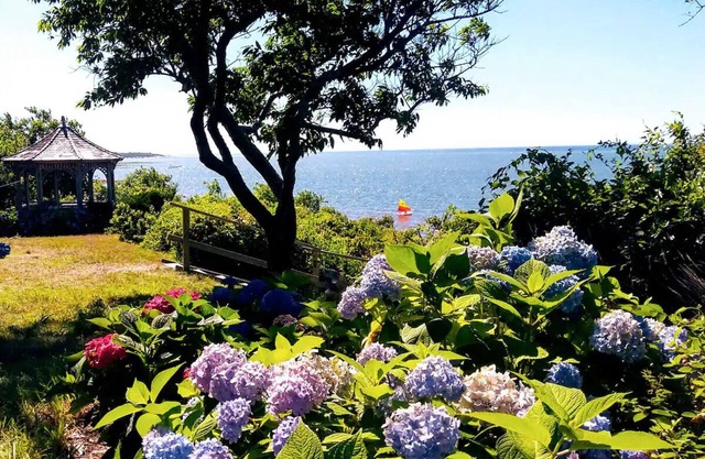 Beachfront cute cottage on Private Beach. Best View on the Cape. on high bluff