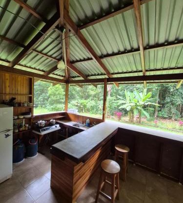 Beachfront jungle cabin