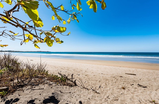 Beachfront Rental - 4 Bedroom - Surf out Your Backdoor