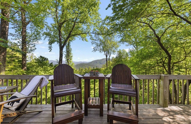 Bear Point, pet friendly and set against a backdrop of breathtaking mountain views! Relax in the hot tub, play pool and enjoy the gas fire-table. WiFi