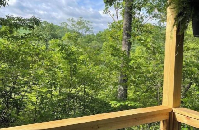 Bear Top Junior Small Cabin w EV Charger