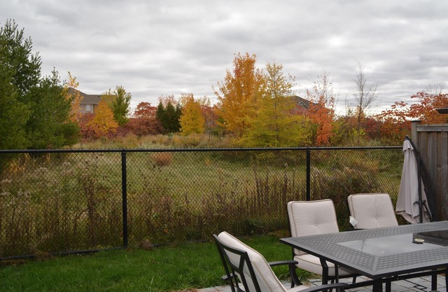 Beautiful and Comfortable One bedroom Basement Apartment