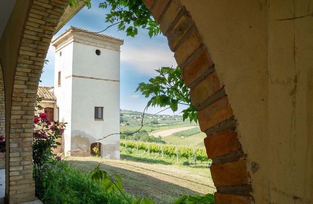Beautiful apartment for 4 guests with WIFI, pool, TV, pets allowed and panoramic view