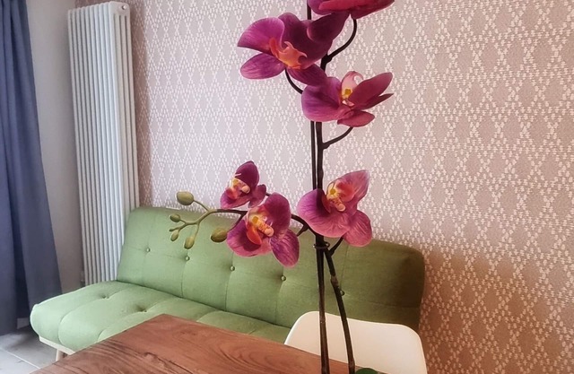 Beautiful apartment close to the beach and in the city center