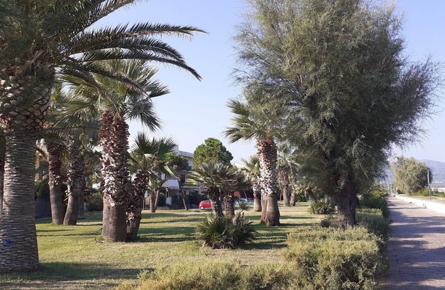 Beautiful apartment in a family pension, only 150m from the beach