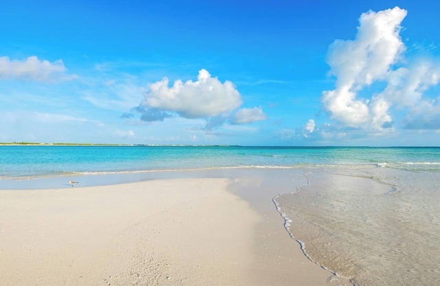 Beautiful Beach Condo