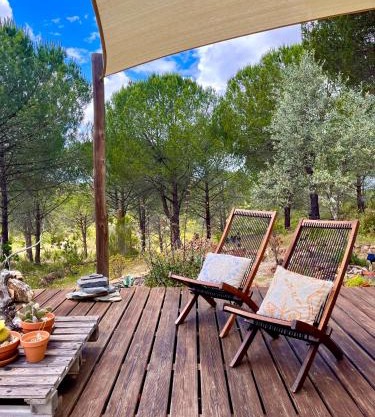 Beautiful country home immersed in pine nut farm