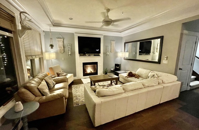 Beautiful Executive modern home. Pet ok at no fee. No parties or large events