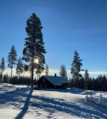 Beautiful Forest Cabin Near Ski Trails