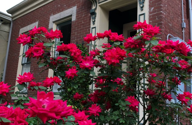 Beautiful home in the heart of Butchertown! Close to everything!