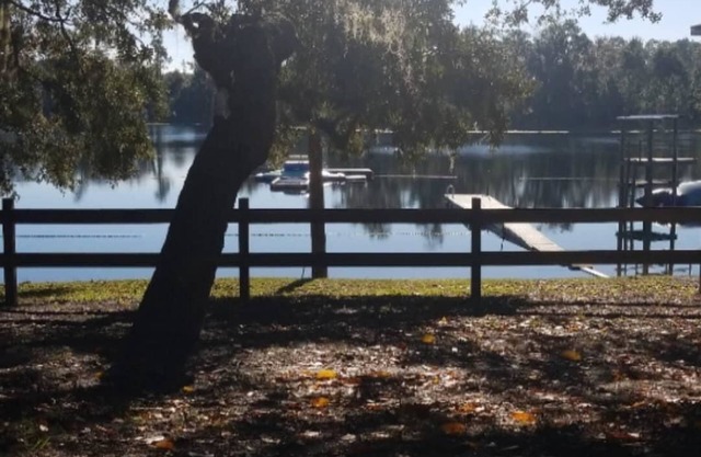 Beautiful lake front property with fully furnished cabins!