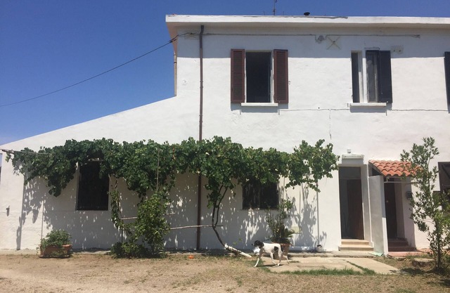 Beautiful old farmhouse for sole use