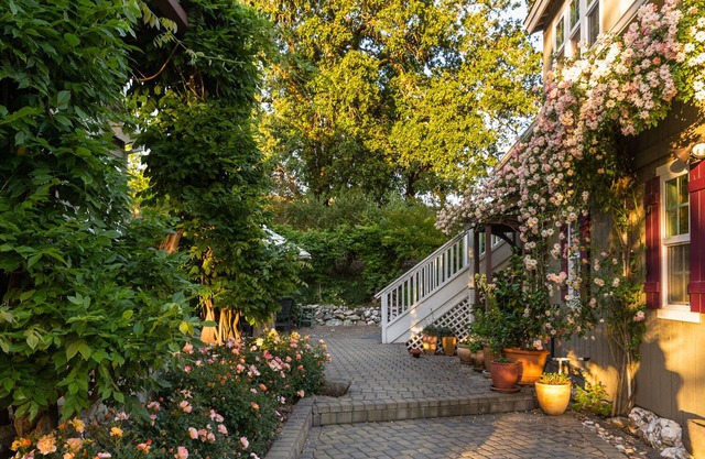 Beautiful Studio Getaway in the Heart of Wine Country