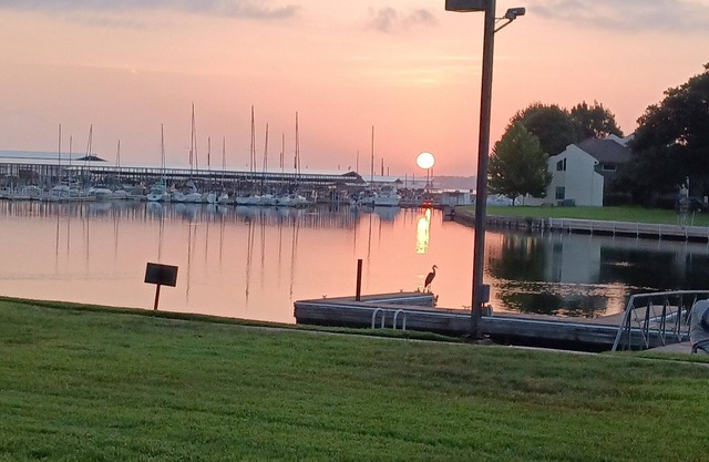 Beautiful sunrises waterfront condo with boat docking on backyard