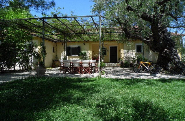 Beautiful Villa in a 11 acre olive grove