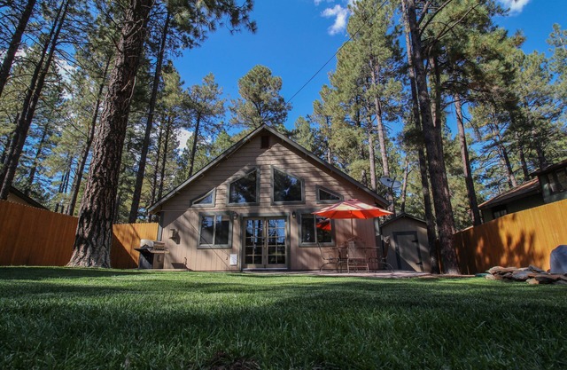 Beautiful Wooded Dream Cabin Backs Forest