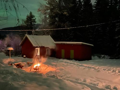 Bekkvang Fjøs Tiny House