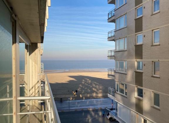 bel appartement à 100m de la plage