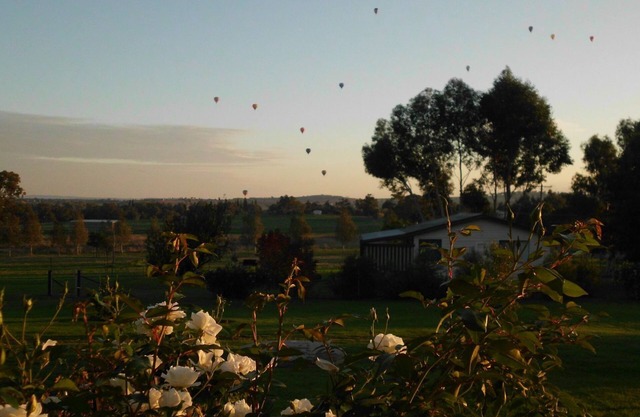 Belubula Cottage Canowindra