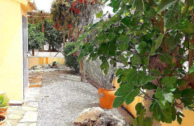 Belvilla by OYO Casa Palmera