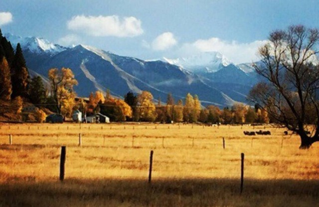 Ben Ohau High Country Station